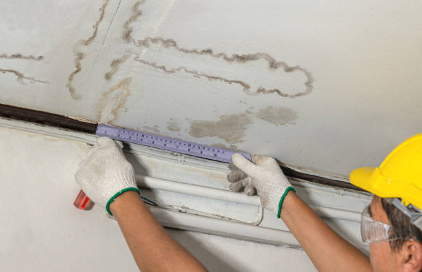 Reliable Water Damage Restoration contractor in Stoneham, ME by Water Damage Irwin